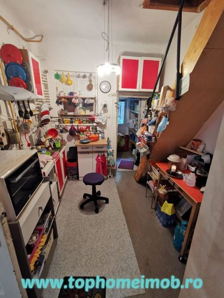 Domenii, Ciuperca, Av. Popisteanu, Grivita, casa.