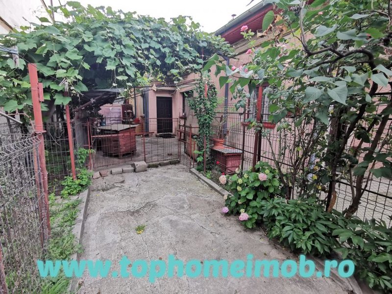 Domenii, Ciuperca, Av. Popisteanu, Grivita, casa.