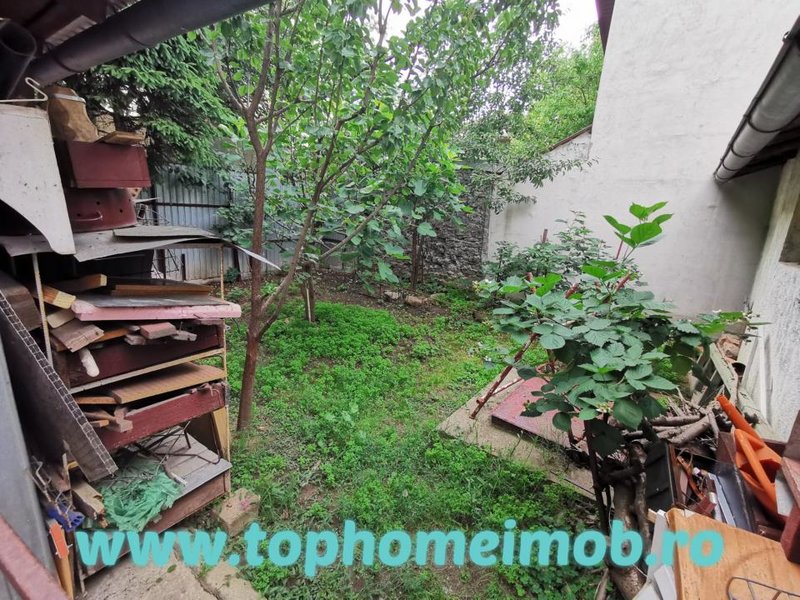 Domenii, Ciuperca, Av. Popisteanu, Grivita, casa.