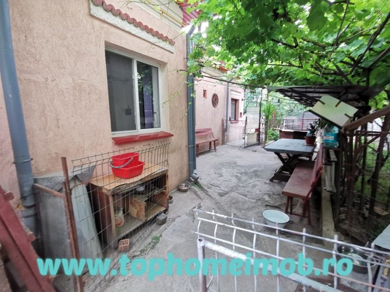 Domenii, Ciuperca, Av. Popisteanu, Grivita, casa.